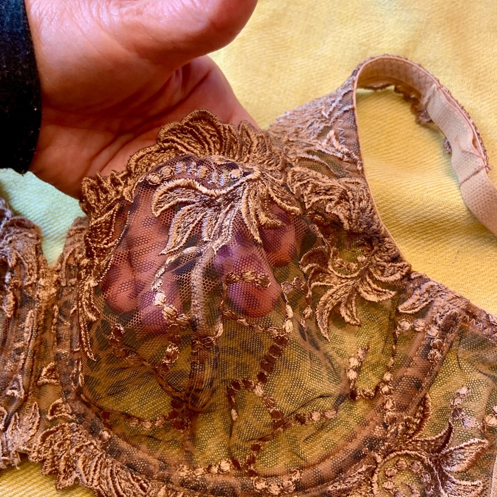 Beautiful Lace Bra - Picture 3 of 8